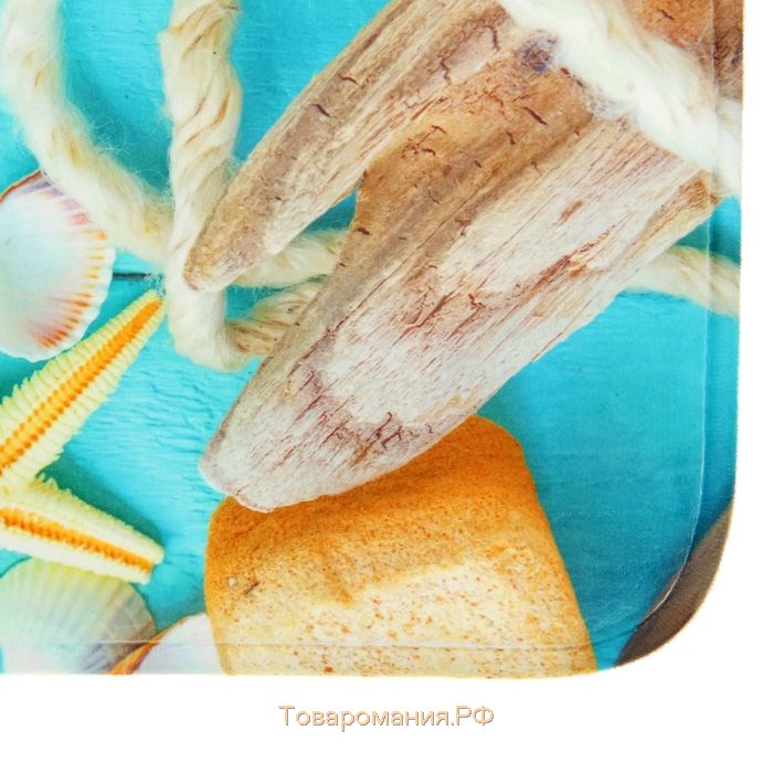 Набор ковриков для ванной и туалета  «Ракушки», 2 шт: 40×45, 45×75 см