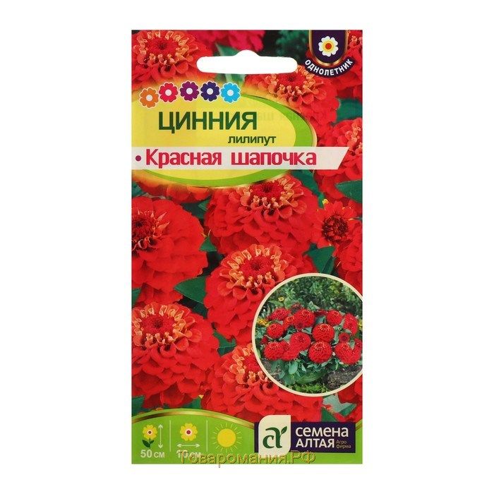 Семена цветов Цинния лилипут "Красная Шапочка", ц/п,  О, 0,3 г.