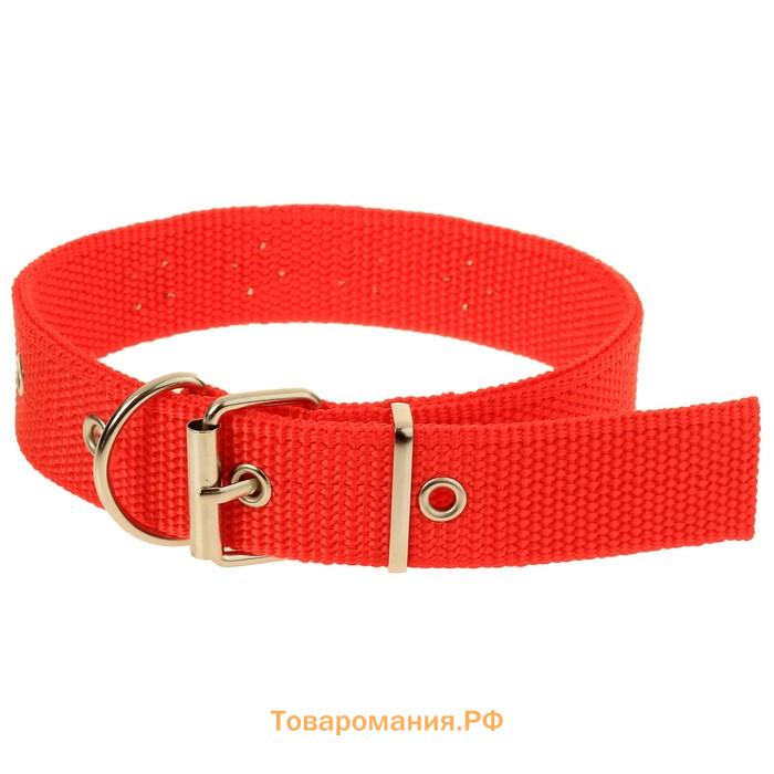 Ошейник для животных