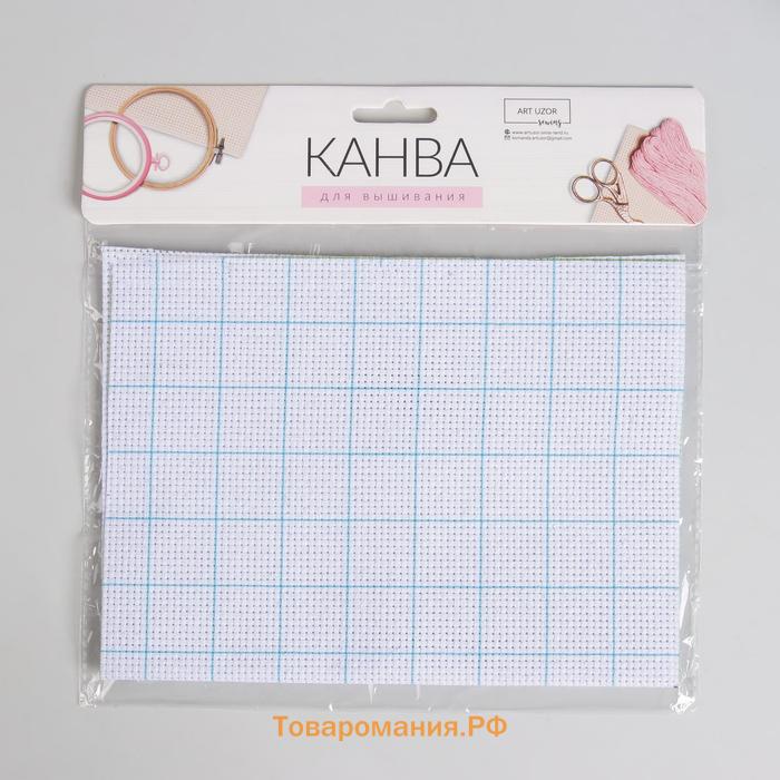 Канва для вышивания, в клетку, №11, 30 × 20 см, цвет белый