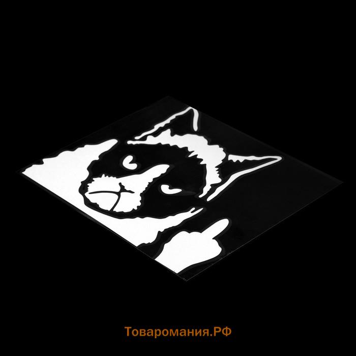 Наклейка на авто 10×13 см, светоотражающая, «Кот»