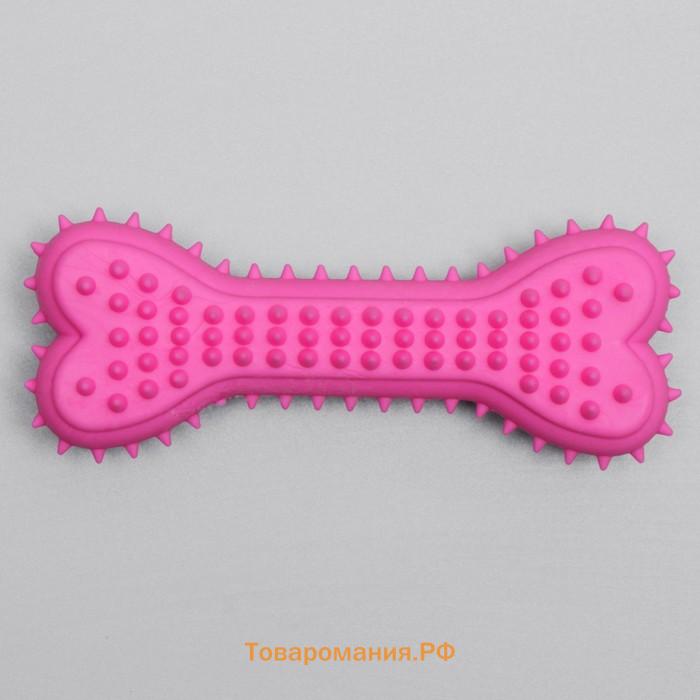Игрушка жевательная литая "Кость для массажа", 11 х 4 х 2 см, розовая