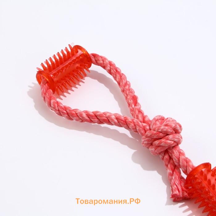 Игрушка канатная с жевательными элементами "Зубочистка", 45 см, микс цветов