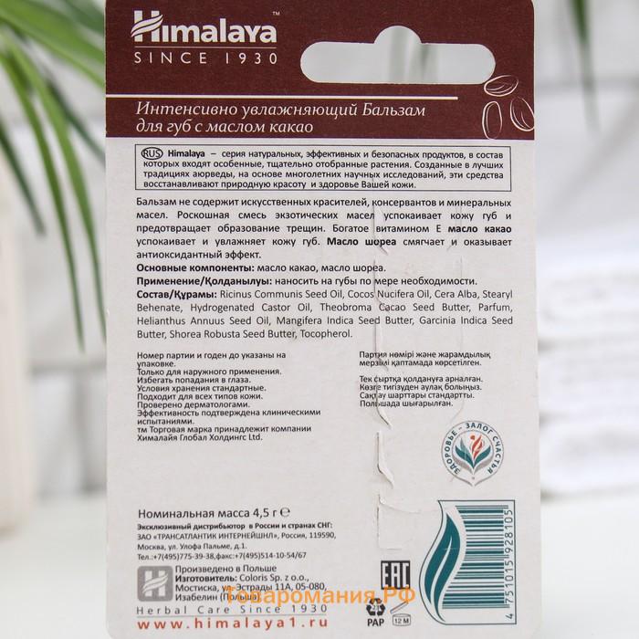 Бальзам для губ интенсивно увлажняющий Himalaya Herbals с маслом какао, 4.5 г