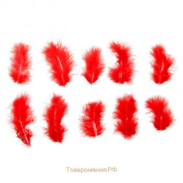Набор перьев для декора 10 шт., размер 1 шт: 10 × 2 см, цвет красный