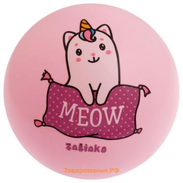 Мяч детский ZABIAKA MEOW, d=22 см