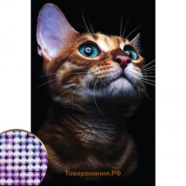 Алмазная мозаика с частичным заполнением на холсте «Взгляд кошки», 20 х 30 см