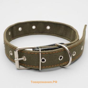 Ошейник брезентовый безразмерный двухслойный, 72 х 3,5 см, ОШ 45-60 см, хаки