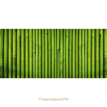 Фотобаннер, 250 × 200 см, с фотопечатью, люверсы шаг 1 м, «Бамбук», Greengo