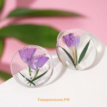 Серьги ассорти "Лето" цветы в диске, цвет фиолетово-зелёный
