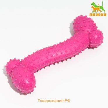 Игрушка жевательная "Любимое лакомство", TPR, 11 х 4 см, розовая