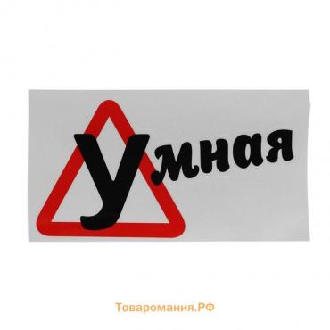 Наклейка на автомобиль, «Умная», 18×10 см